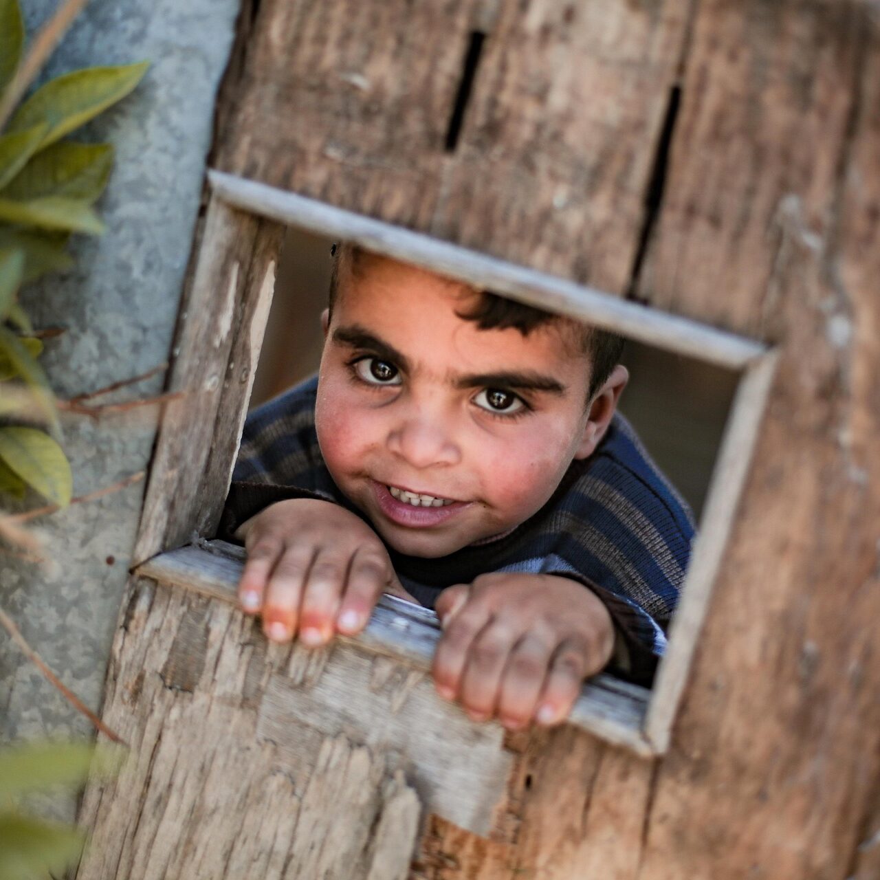 hosnysalah-child-6017256_1920